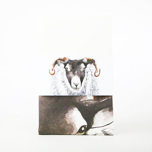 Ewe Sheep tea towel gift | Clare Baird