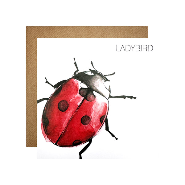 Ladybird Card