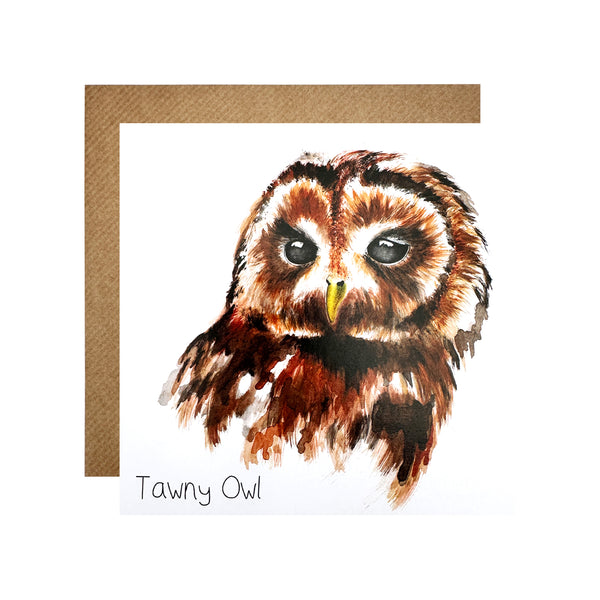 Tawny Owl Card