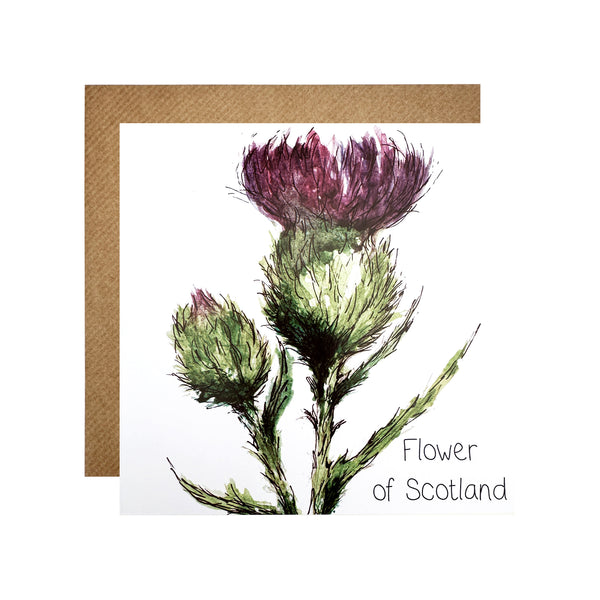 Scottish Thistle Flower of Scotland Card
