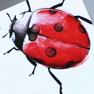 Ladybird Sticky Notes. Sticky labels
