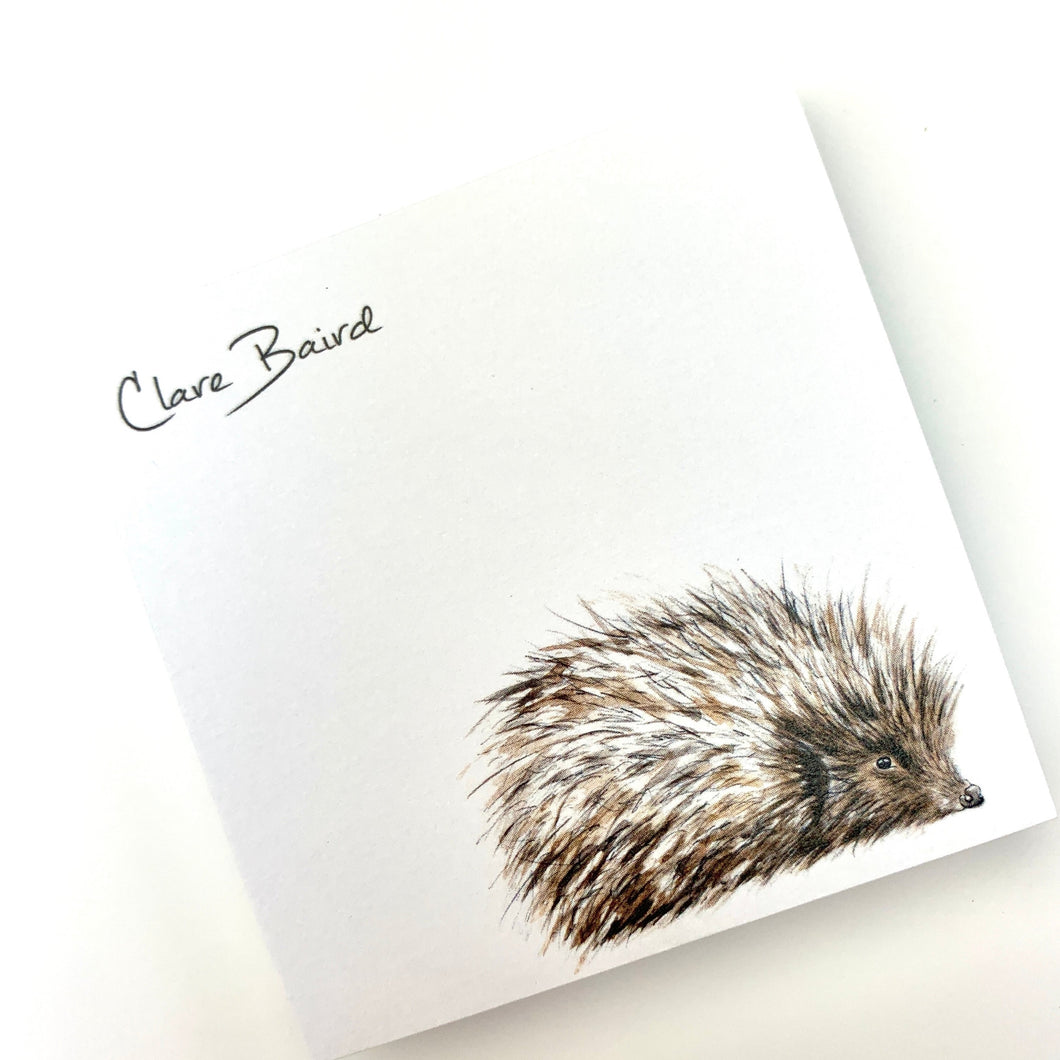 Hedgehog Sticky Notes by Clare Baird Designs.