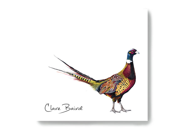 Pheasant Sticky Notes