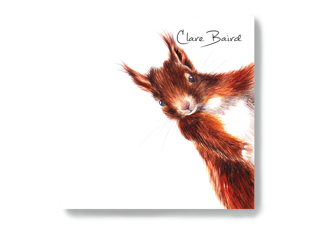 Red Squirrel Sticky Notes