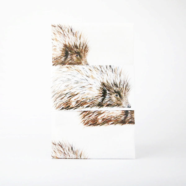 Hedgehog Wildlife Cotton Tea Towel | Clare Baird