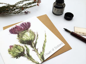 scottish thistle flower card