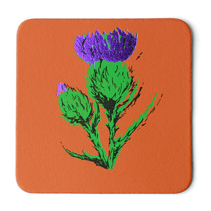 scottish thistle flower