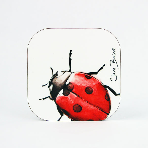Ladybird Coaster