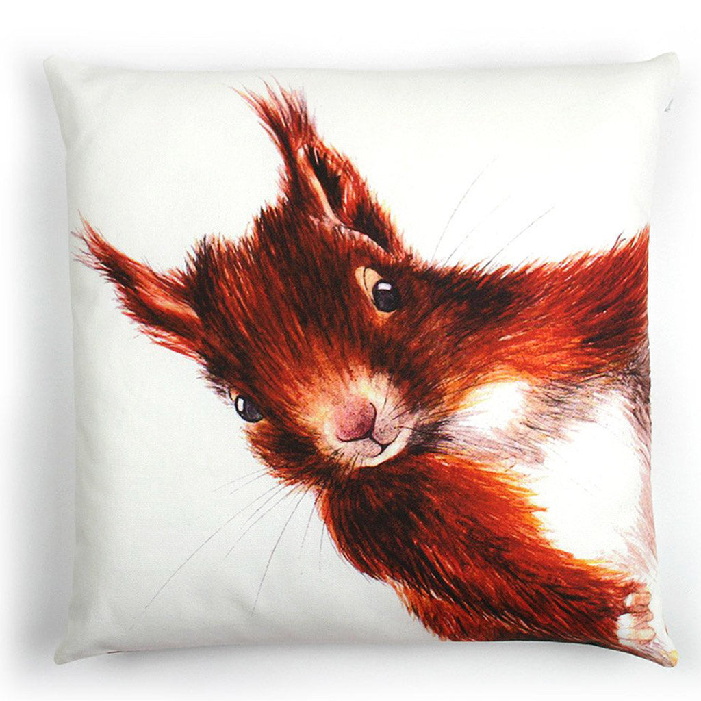 Red Squirrel Cushion