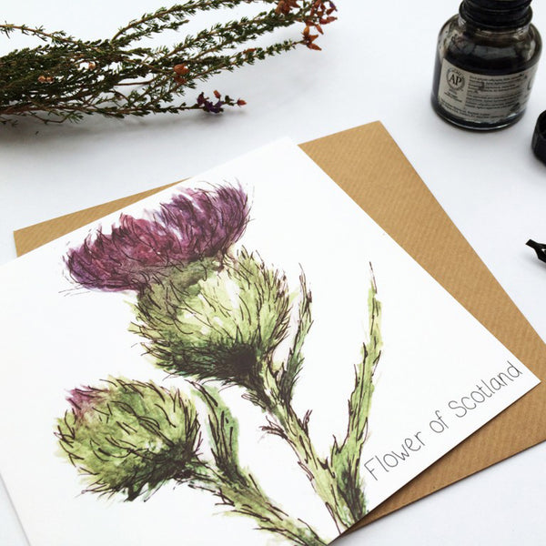 scottish thistle flower presents